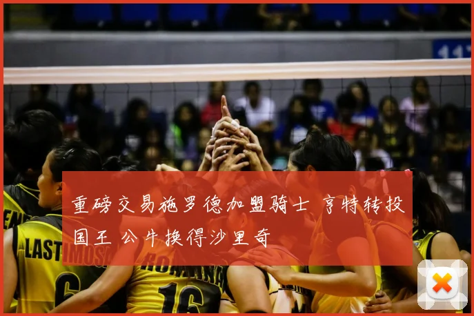 重磅交易施罗德加盟骑士 亨特转投国王 公牛换得沙里奇